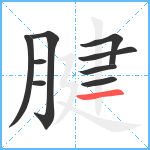 腱笔顺分解图片9