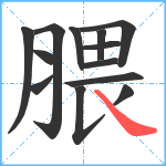 腲笔顺分解图片13