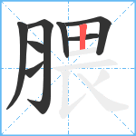 腲笔顺分解图片8