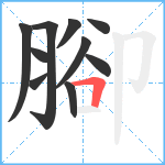 腳笔顺分解图片10