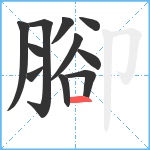 腳笔顺分解图片11