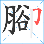 腳笔顺分解图片12