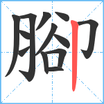 腳笔顺分解图片13