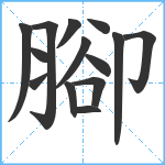 腳笔顺分解图片14