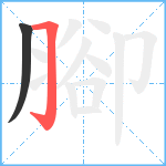 腳笔顺分解图片2