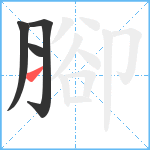 腳笔顺分解图片4