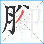 腳笔顺分解图片7