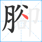 腳笔顺分解图片8