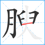 腴笔顺分解图片10