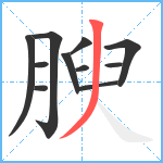 腴笔顺分解图片11