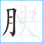 腴笔顺分解图片4