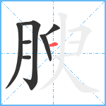 腴笔顺分解图片7