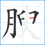 腴笔顺分解图片9