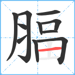 腷笔顺分解图片11