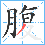 腹笔顺分解图片11