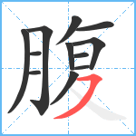 腹笔顺分解图片12