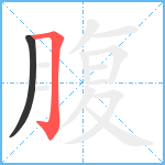 腹笔顺分解图片2