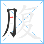 腹笔顺分解图片3