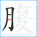 腹笔顺分解图片4