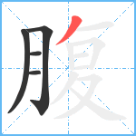 腹笔顺分解图片5