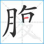 腹笔顺分解图片9