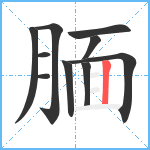 腼笔顺分解图片10