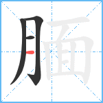 腼笔顺分解图片4