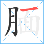 腼笔顺分解图片5