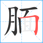 腼笔顺分解图片8