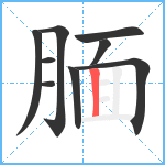 腼笔顺分解图片9