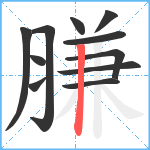 膁笔顺分解图片11