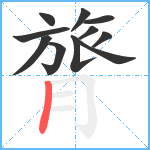 膂笔顺分解图片11