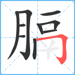 膈笔顺分解图片10