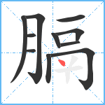 膈笔顺分解图片11