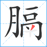 膈笔顺分解图片12