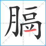 膈笔顺分解图片13