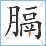 膈笔顺分解图片14