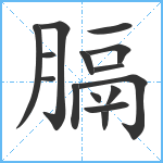 膈笔顺分解图片15