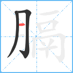 膈笔顺分解图片3