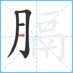 膈笔顺分解图片4