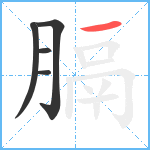 膈笔顺分解图片5