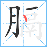 膈笔顺分解图片6