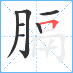 膈笔顺分解图片7