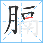 膈笔顺分解图片8