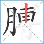 膊笔顺分解图片10