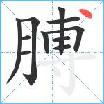 膊笔顺分解图片11