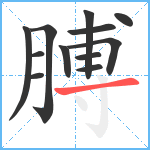 膊笔顺分解图片12