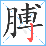 膊笔顺分解图片13