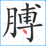 膊笔顺分解图片14