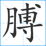 膊笔顺分解图片15